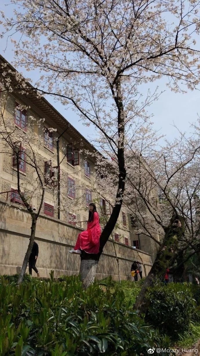 wuhan university 3