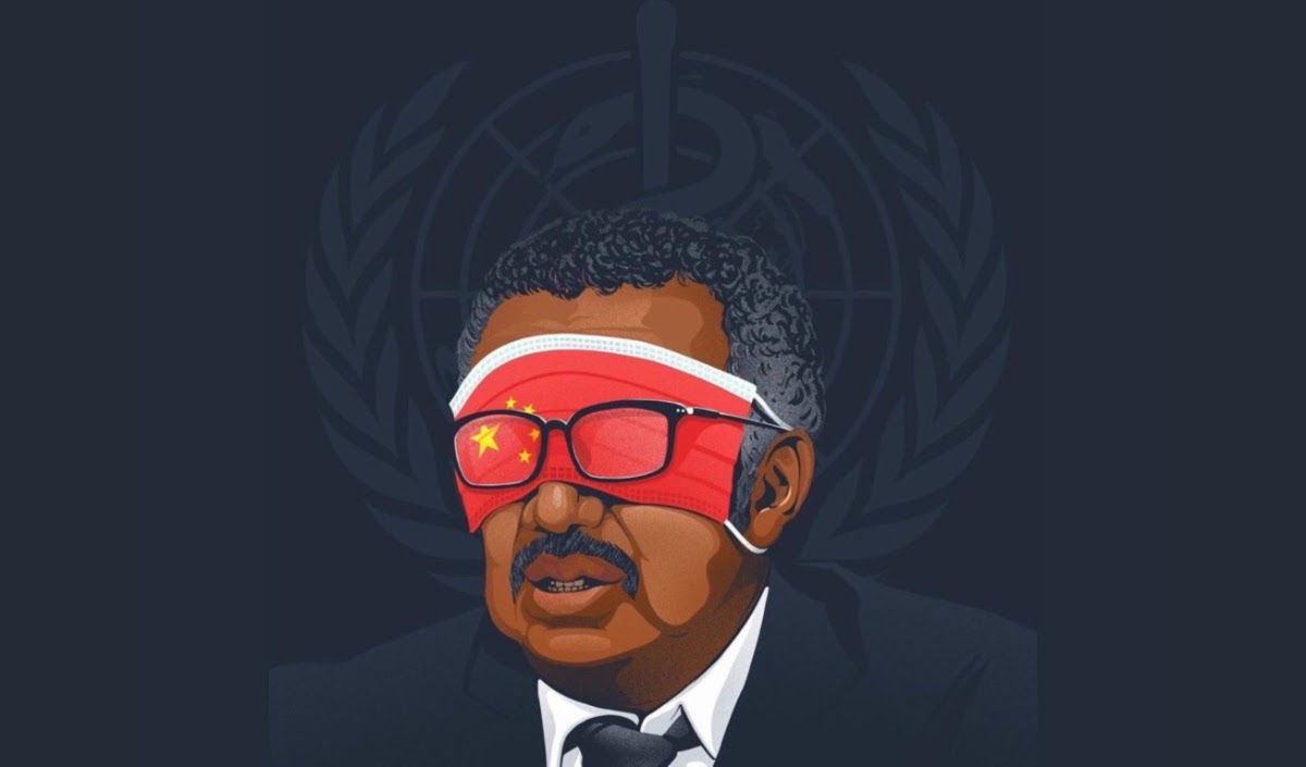 Who is chief. Тедрос ШКИЗ. Who Tedros.