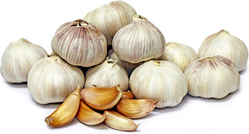 Garlic