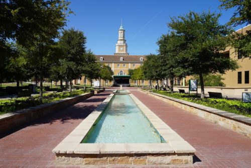 u of north texas
