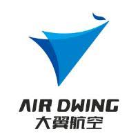 logotipo de dwing de aire