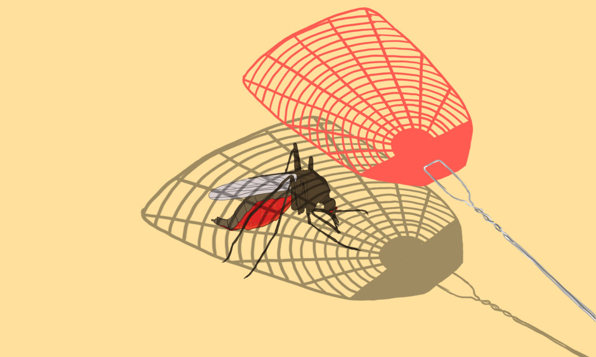 fly swatter china malaria