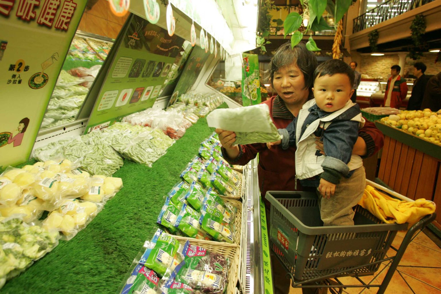 entrepreneurship-in-china-s-produce-sector-the-lettuce-diaries-with