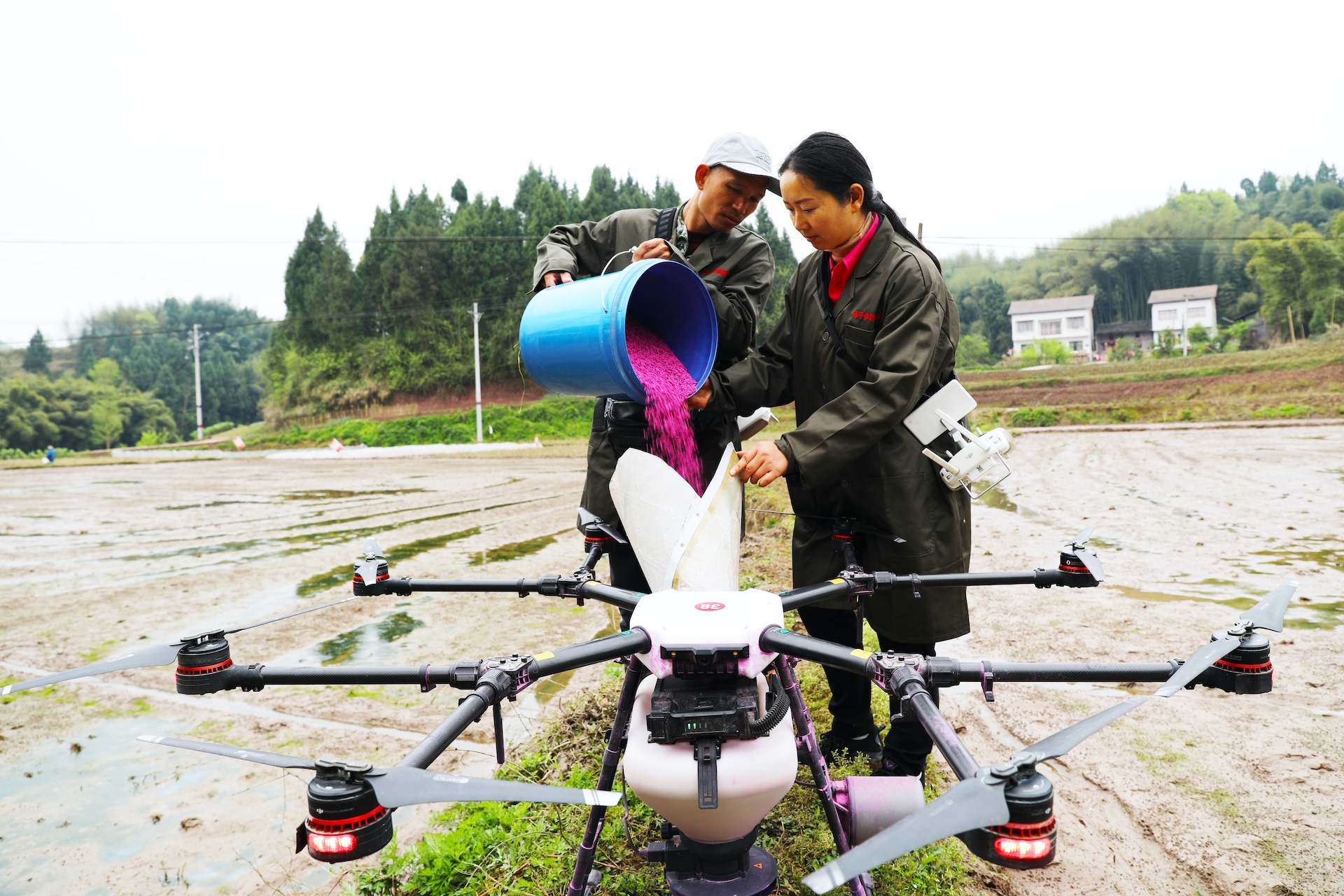 Rice farmers fill up a drone in a rice field