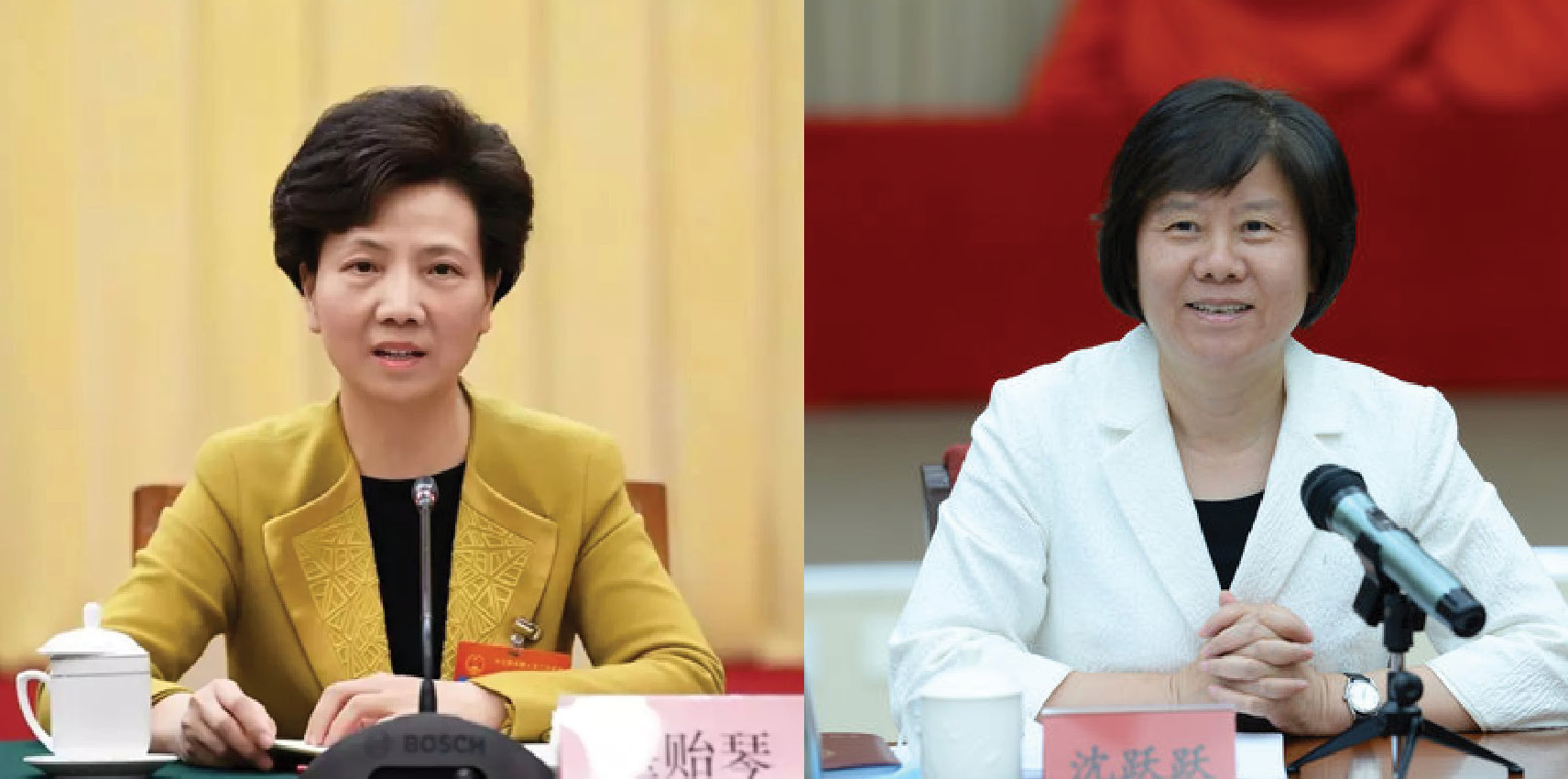 Beijing, China. 16th May, 2018. Shen Yueyue, vice chairperson of the  Standing Committee of the National People's Congress and president of the  All-China Women's Federation, addresses the opening ceremony of the first