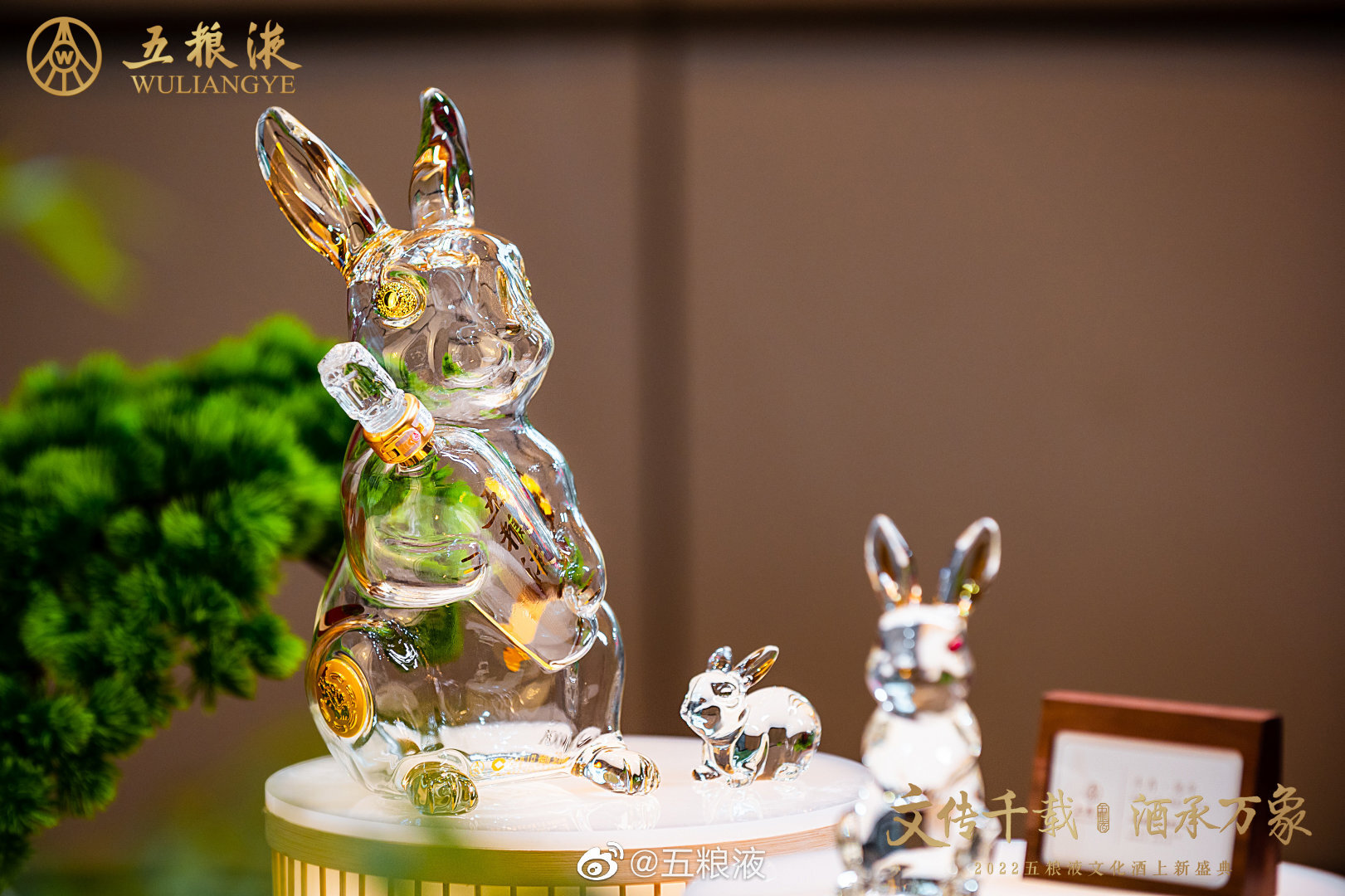Brands unveil new products to ring in the Year of the Rabbit-China  International Import Expo