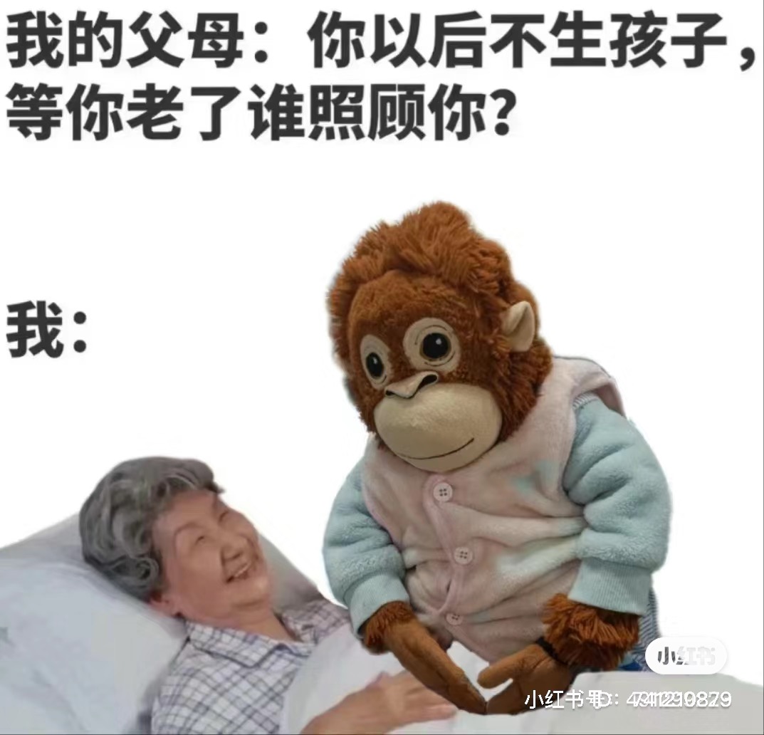 Women on Xiaohongshu don't want kids. They want this monkey
