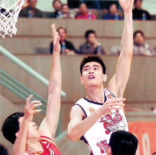 yao ming shanghai sharks